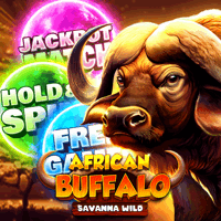 African Buffalo Savanna Wild