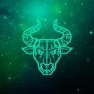 Taurus 4D