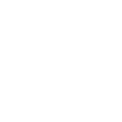 COCK FIGHTING